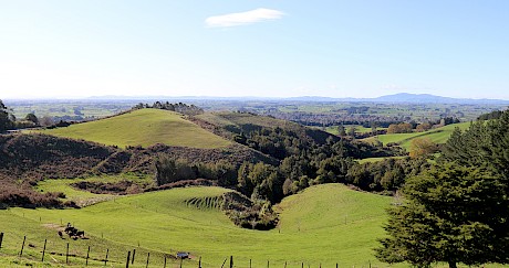 Landscape concept plan for afforestation of lowland Waikato hill country reserve