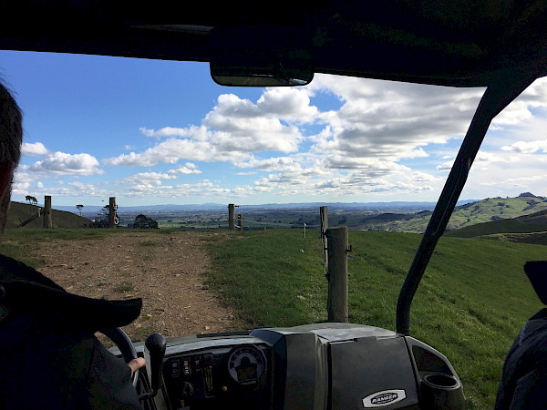 View on Ian’s property