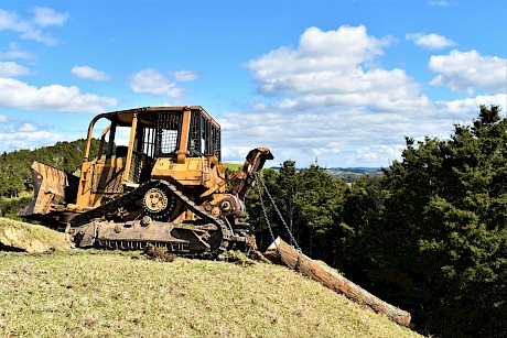 The TIP project involves harvesting, milling, processing and selling of up to 500m3 of totara log volume