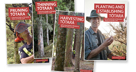 A Practical Guide to Managing Tōtara on Private Land